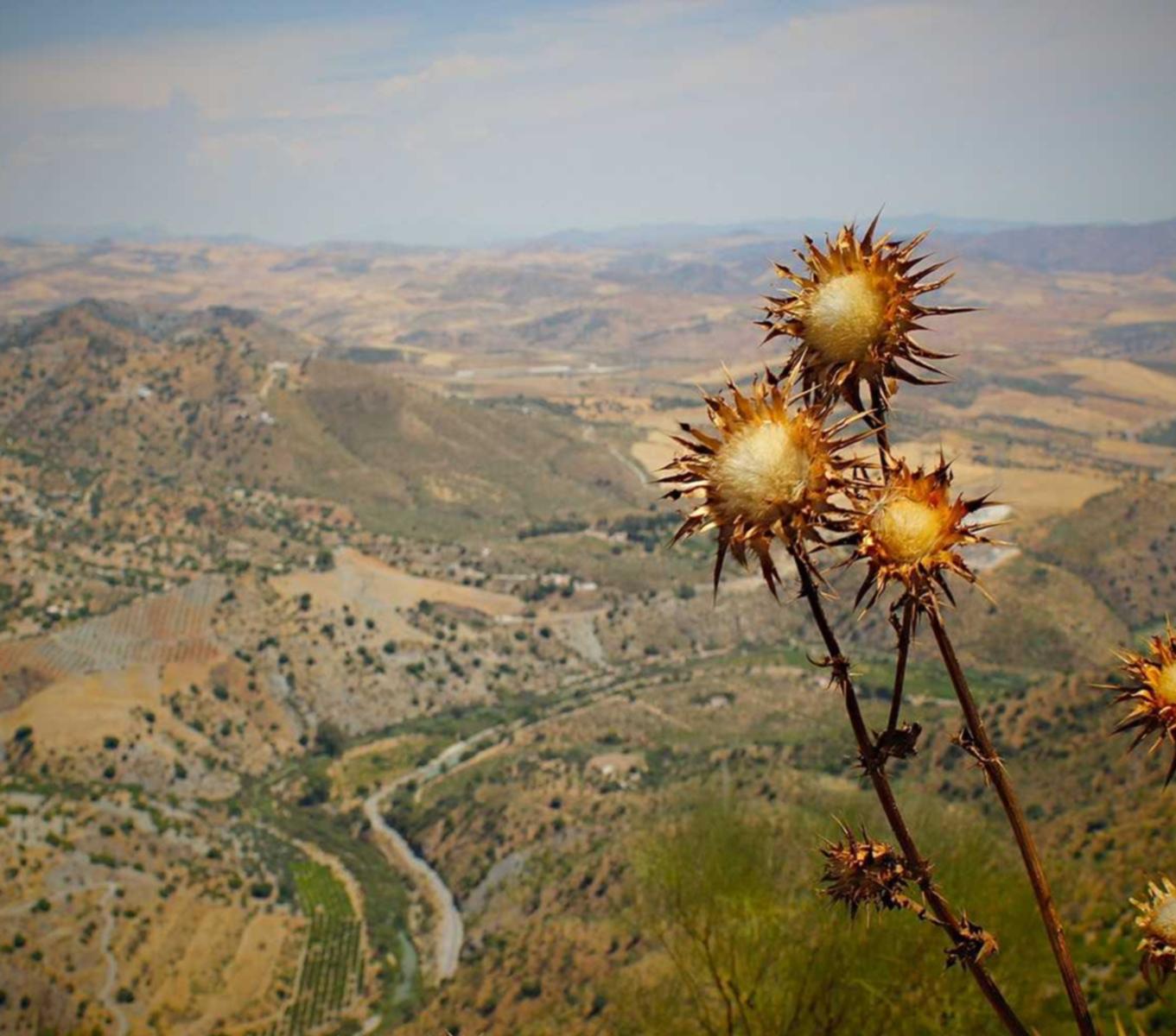 中国联通实名账号:小语加速器app手机版详情下载教程