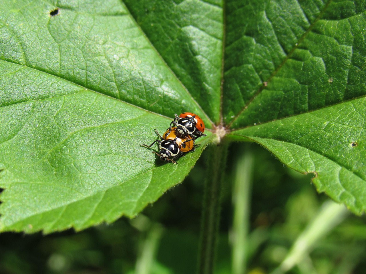 技术支持辅助的自动化时间：让你轻松省心
