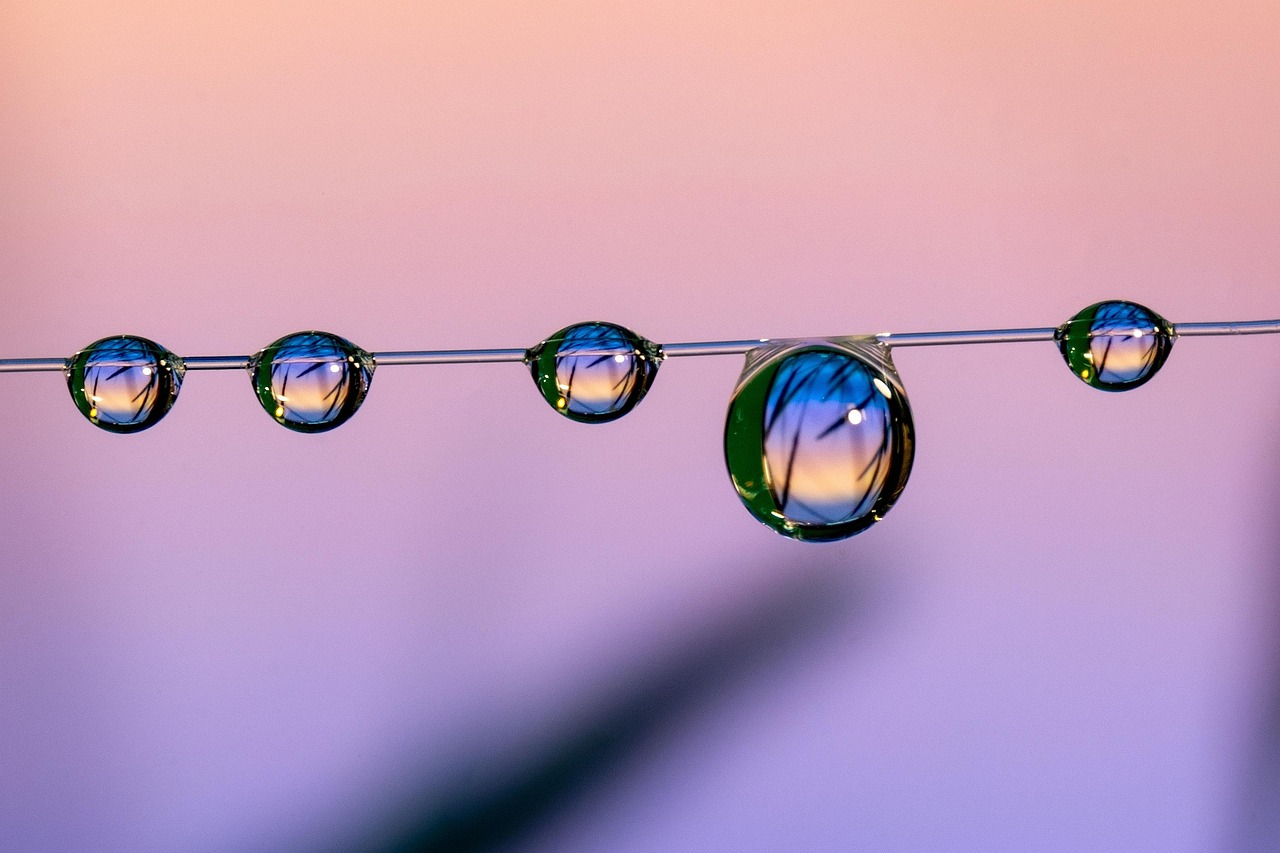 华为云实名账号：杭州的网商园app详情下载教程