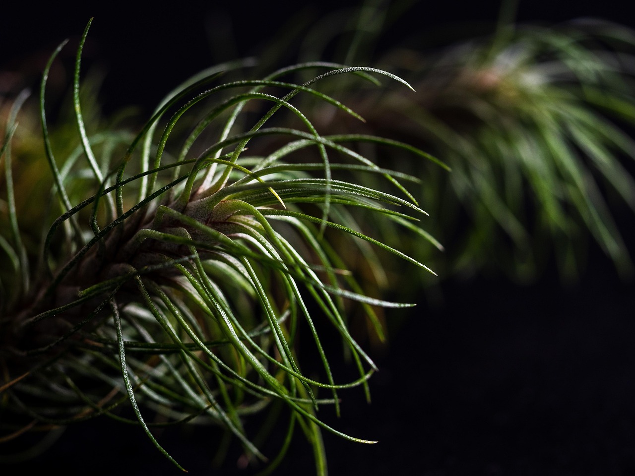 阿里手机卡实名账号：实名账号与虚拟世界：如何正确理解“真实”？