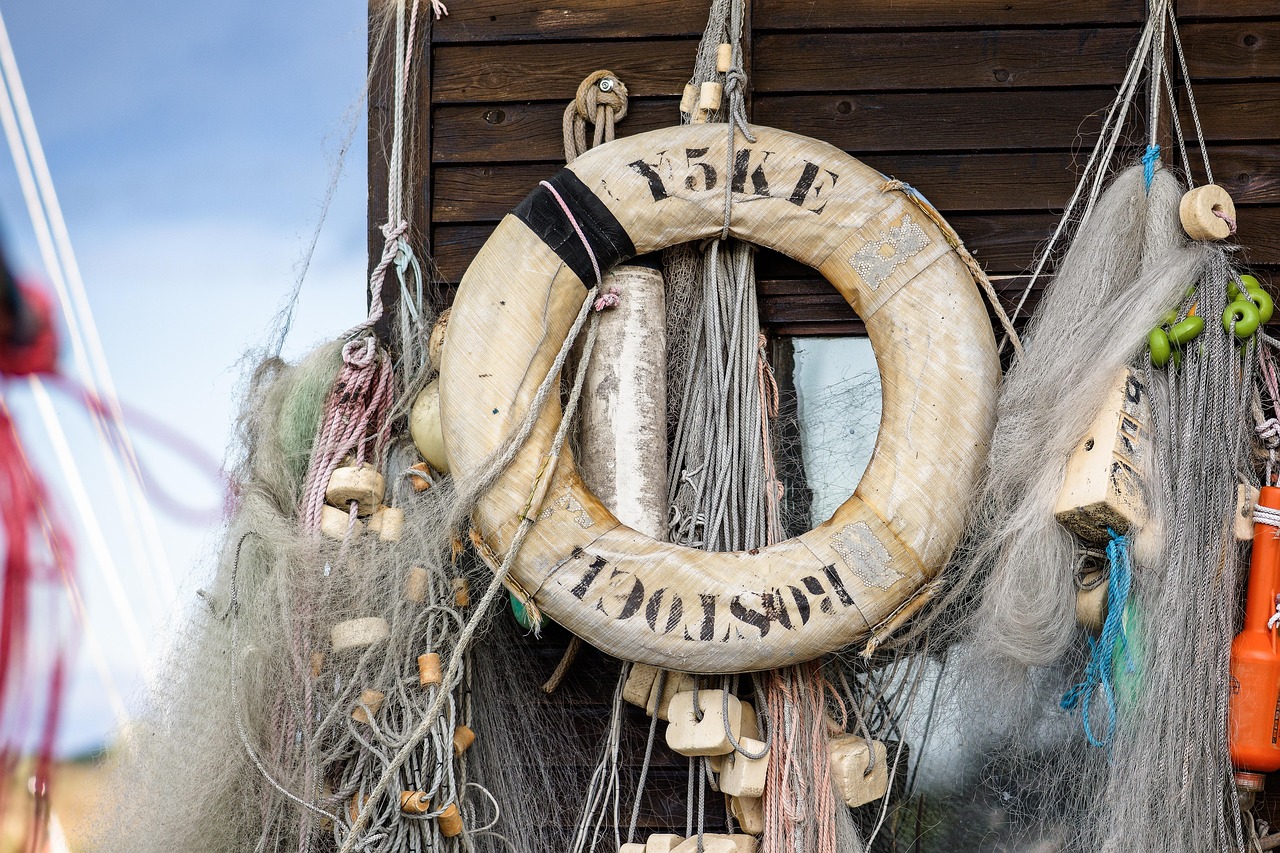 天火京东app详情下载教程页