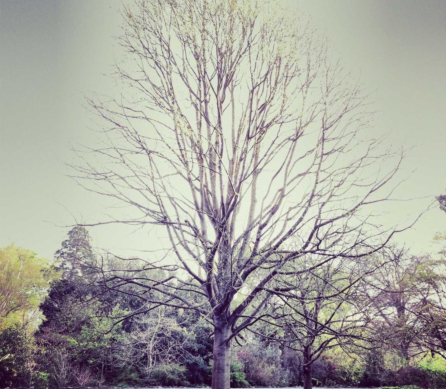 实名支付宝买卖：荆州游戏代理平台