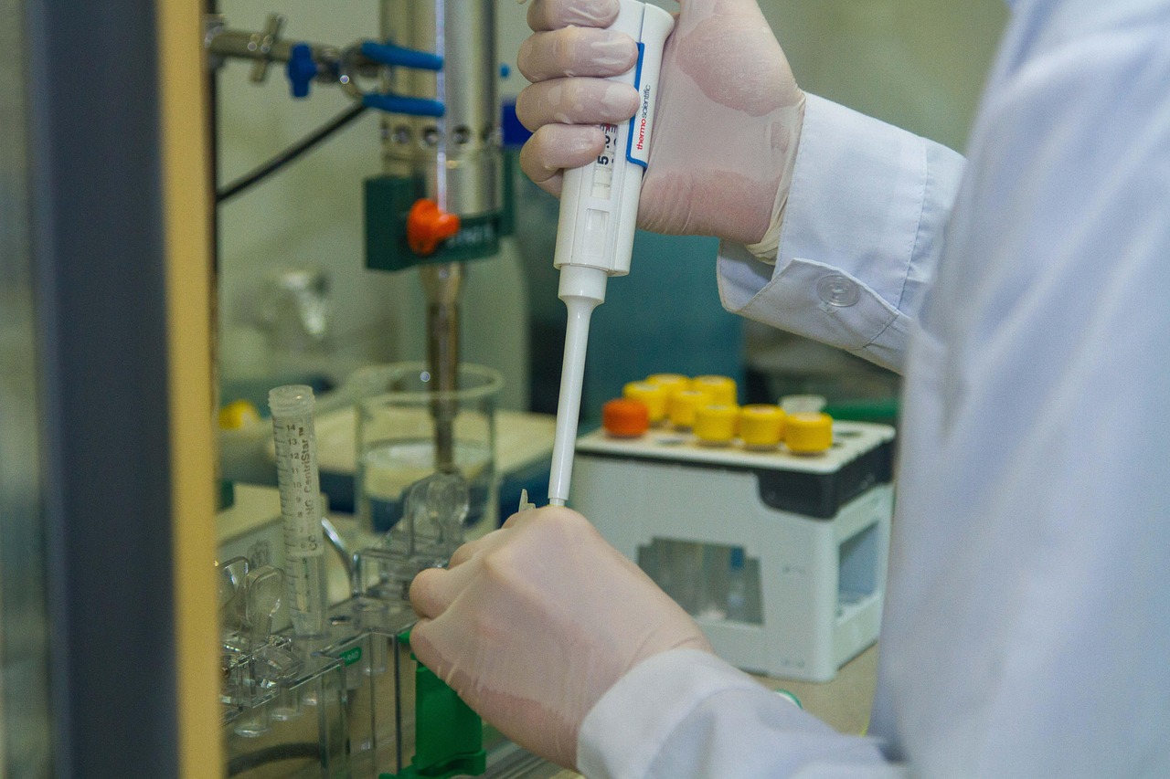 远征手游辅助- 阳光校餐app详情下载教程