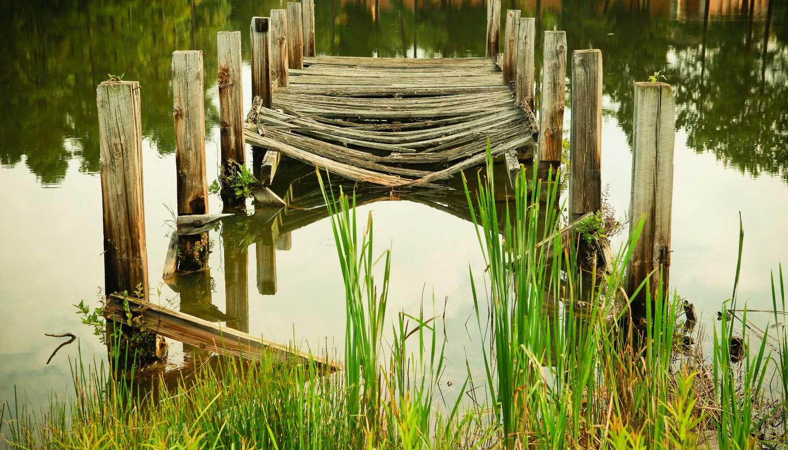 搜狐实名账号：小鹿兔app详情下载教程